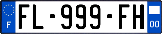 FL-999-FH