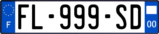 FL-999-SD