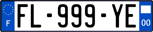 FL-999-YE