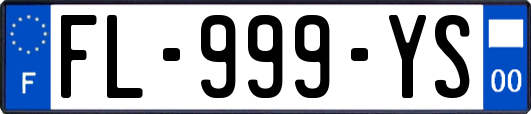 FL-999-YS