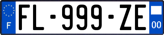 FL-999-ZE
