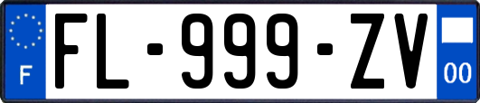 FL-999-ZV