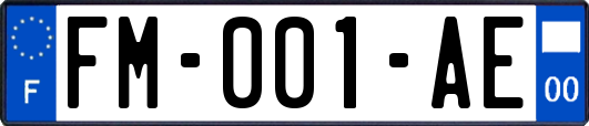 FM-001-AE