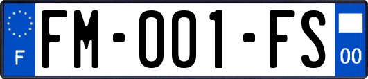 FM-001-FS