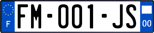 FM-001-JS