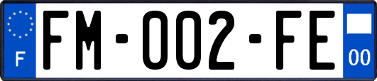 FM-002-FE