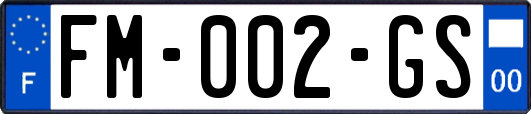 FM-002-GS