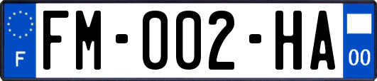 FM-002-HA