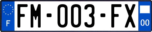 FM-003-FX