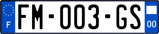 FM-003-GS