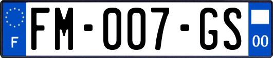 FM-007-GS
