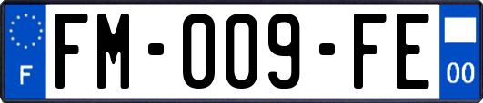 FM-009-FE