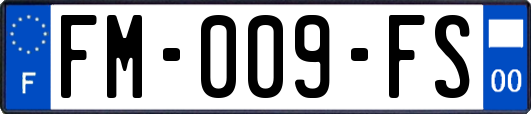 FM-009-FS