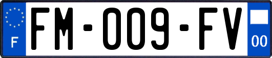 FM-009-FV