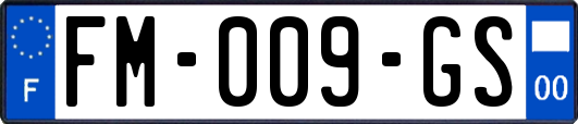 FM-009-GS