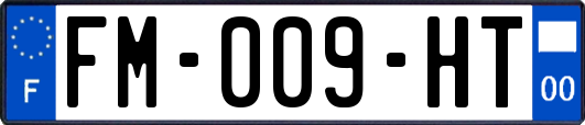 FM-009-HT