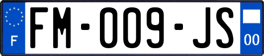 FM-009-JS