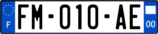 FM-010-AE