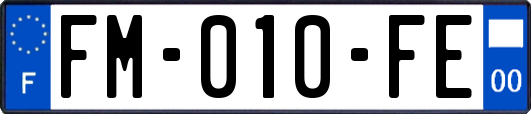 FM-010-FE