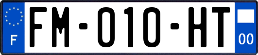 FM-010-HT
