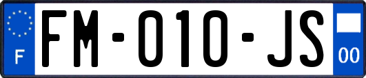FM-010-JS