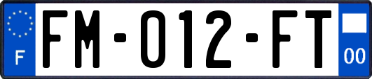 FM-012-FT