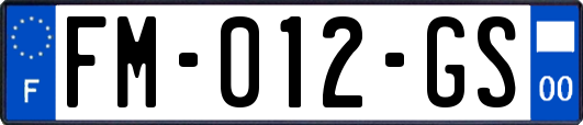 FM-012-GS