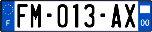 FM-013-AX