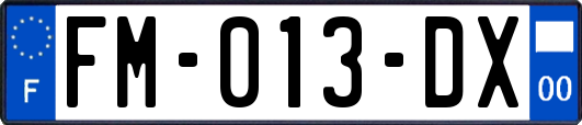 FM-013-DX