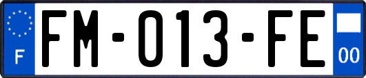 FM-013-FE