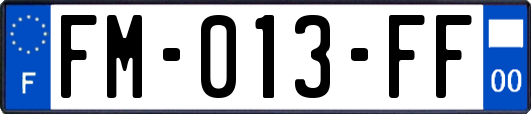 FM-013-FF