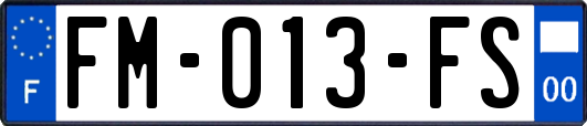 FM-013-FS