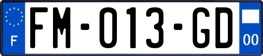 FM-013-GD