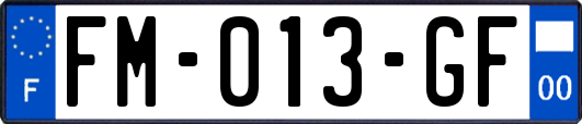 FM-013-GF