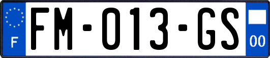 FM-013-GS