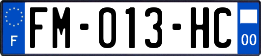 FM-013-HC