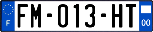 FM-013-HT