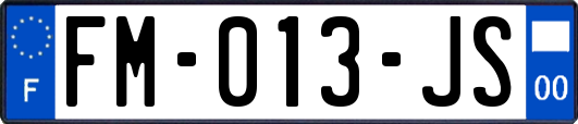 FM-013-JS
