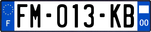 FM-013-KB