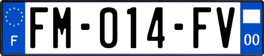 FM-014-FV
