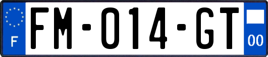 FM-014-GT