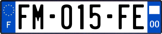 FM-015-FE