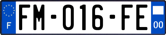 FM-016-FE