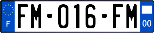 FM-016-FM