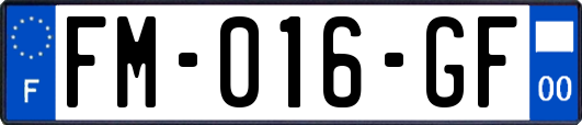 FM-016-GF