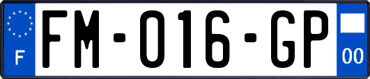 FM-016-GP