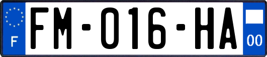 FM-016-HA