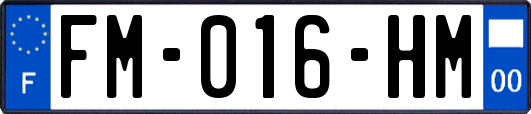 FM-016-HM
