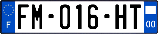 FM-016-HT