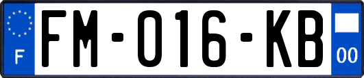 FM-016-KB
